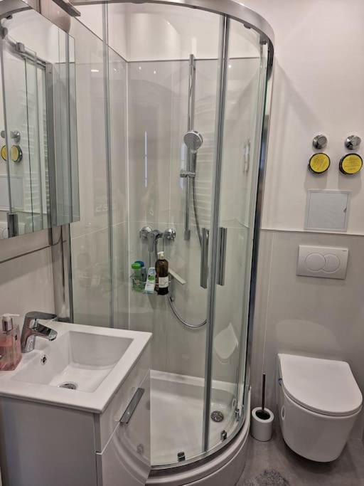 Kleines City Apartment 施韦因福特 外观 照片